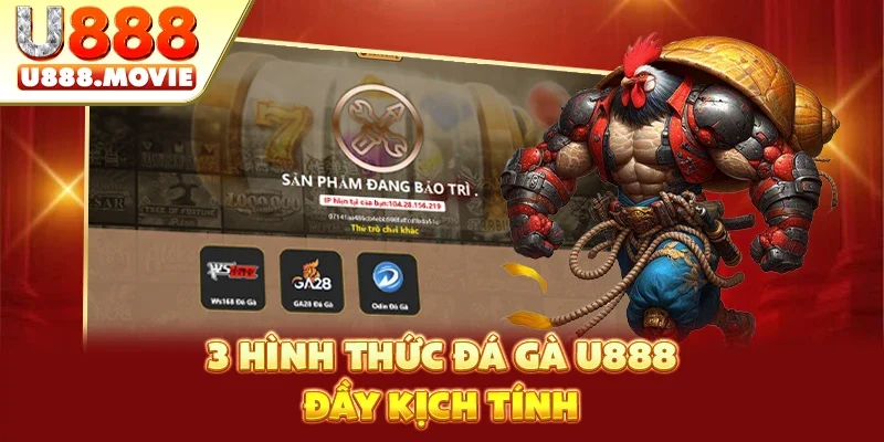 3 hình thức đá gà U888 đầy kịch tính