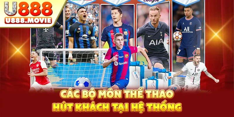 Các bộ môn thể thao hút khách tại hệ thống